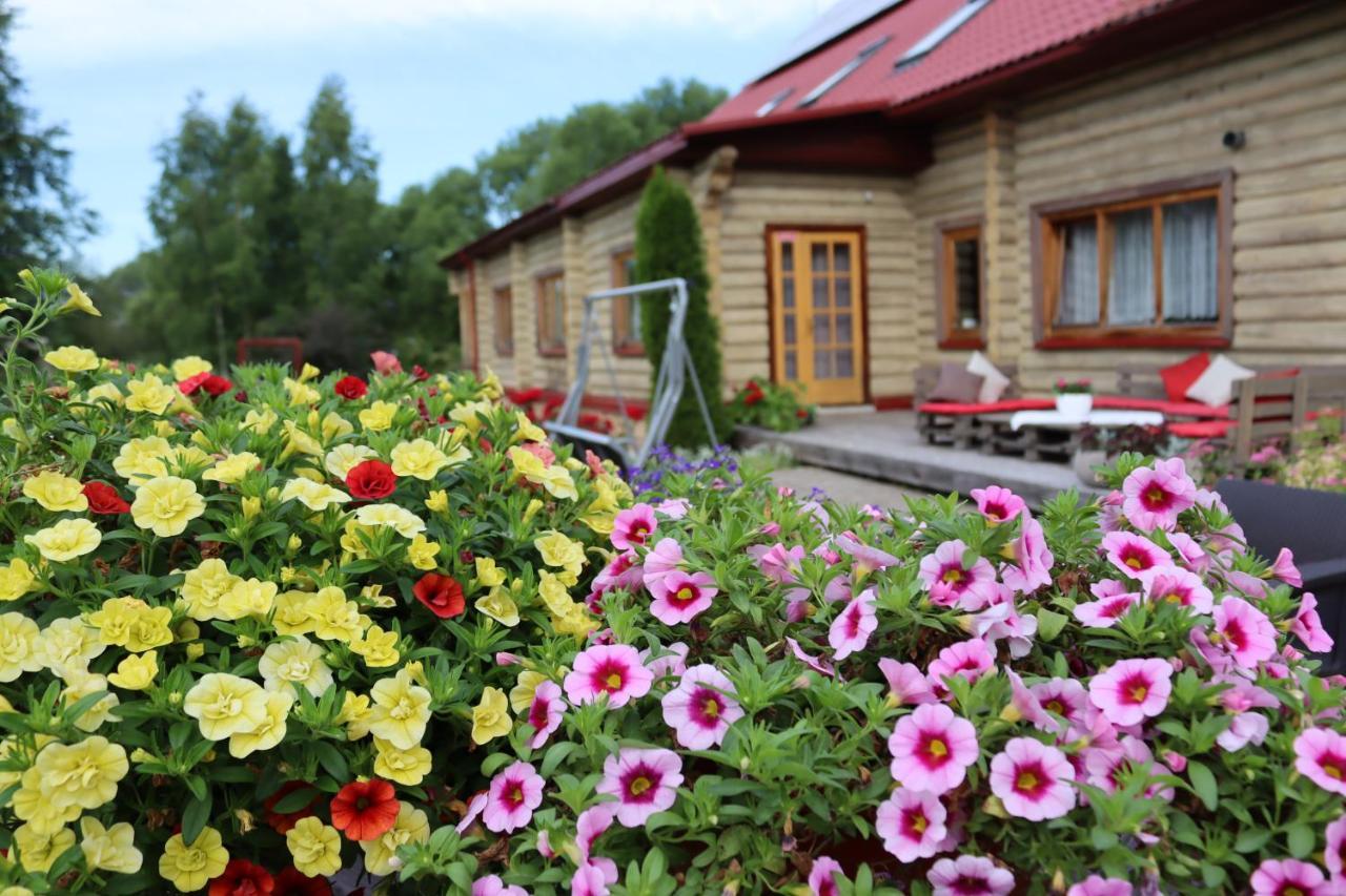 Viesu Nams Zala Sala Hotel Litavniki Exterior photo