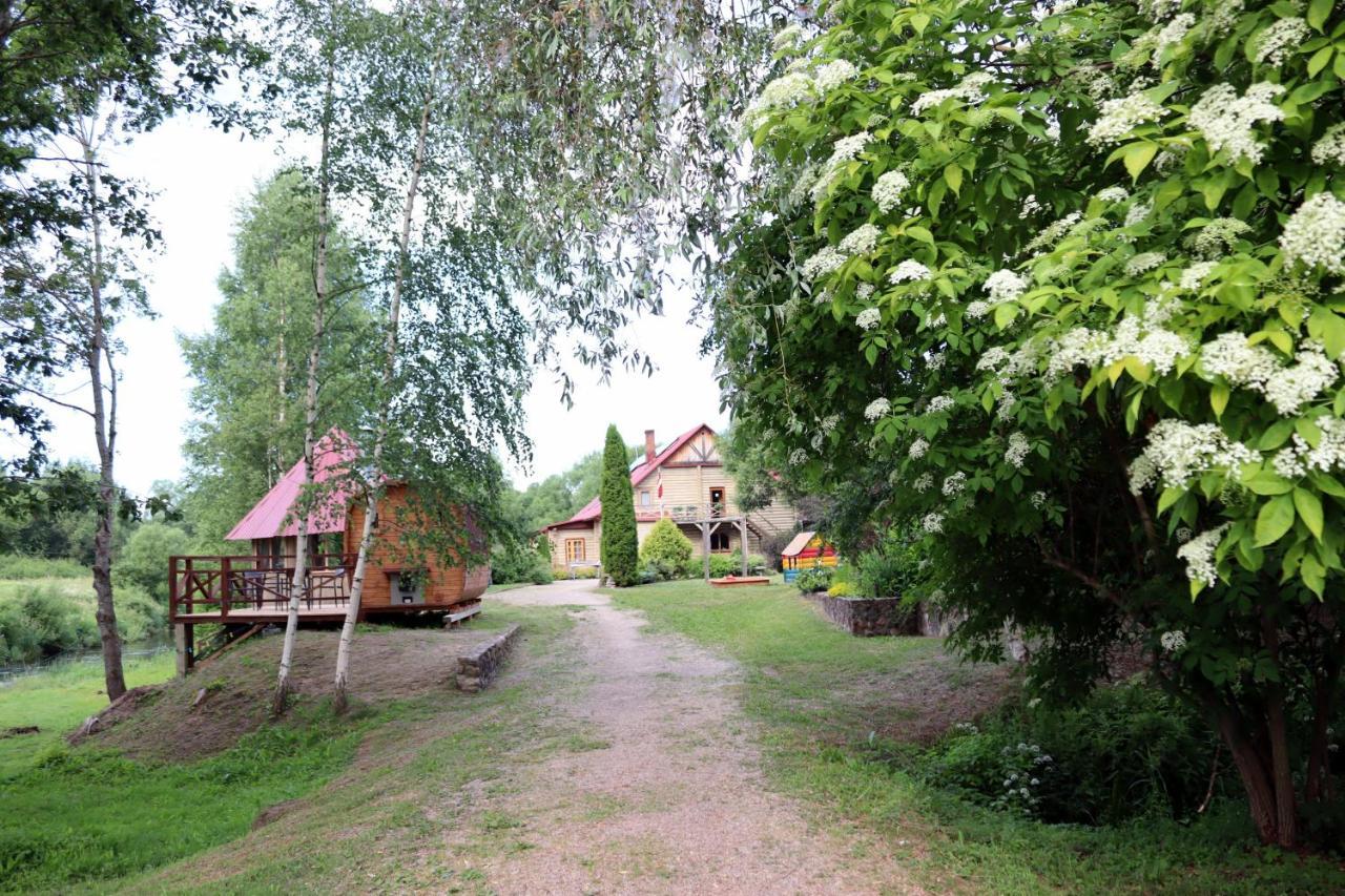 Viesu Nams Zala Sala Hotel Litavniki Exterior photo